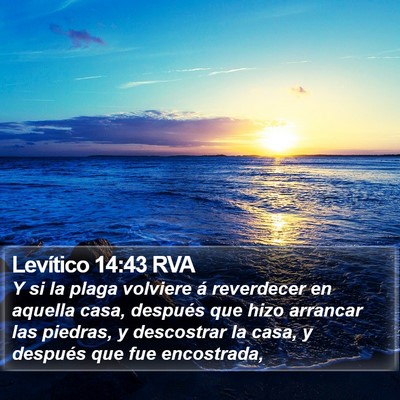 Levítico 14:43 RVA Bible Verse Image