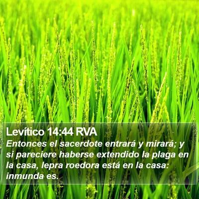 Levítico 14:44 RVA Bible Verse Image