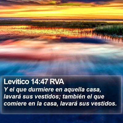 Levítico 14:47 RVA Bible Verse Image