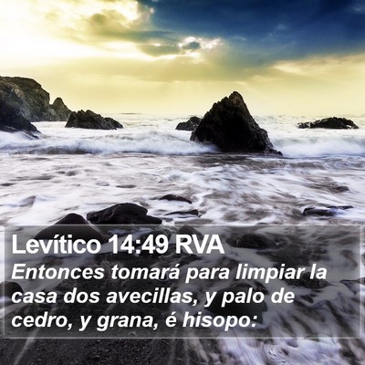Levítico 14:49 RVA Bible Verse Image