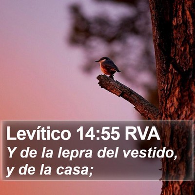 Levítico 14:55 RVA Bible Verse Image