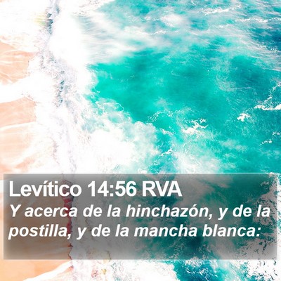 Levítico 14:56 RVA Bible Verse Image