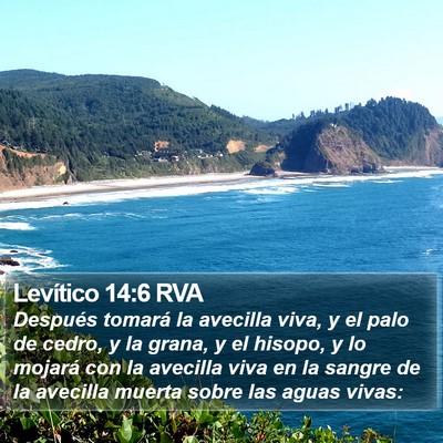 Levítico 14:6 RVA Bible Verse Image