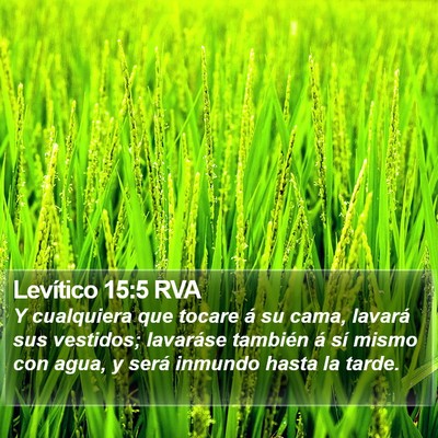 Levítico 15:5 RVA Bible Verse Image