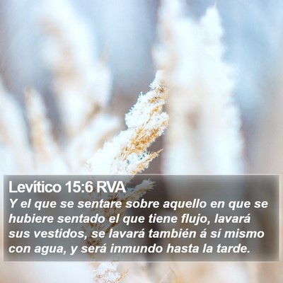 Levítico 15:6 RVA Bible Verse Image