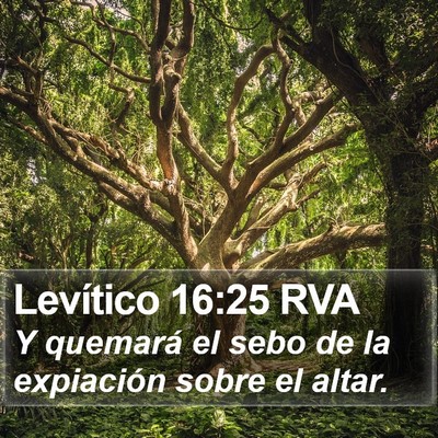 Levítico 16:25 RVA Bible Verse Image