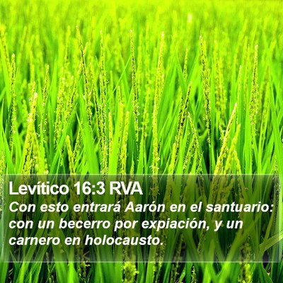 Levítico 16:3 RVA Bible Verse Image