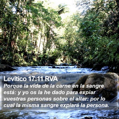 Levítico 17:11 RVA Bible Verse Image