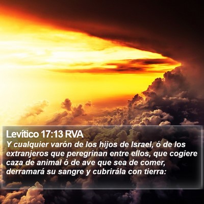 Levítico 17:13 RVA Bible Verse Image