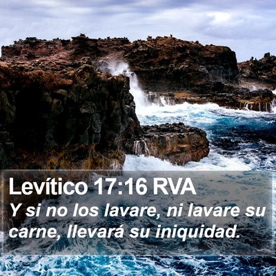 Levítico 17:16 RVA Bible Verse Image