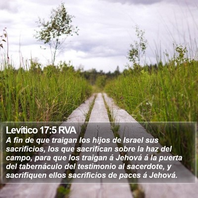 Levítico 17:5 RVA Bible Verse Image