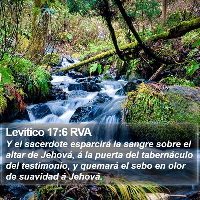 Levítico 17:6 RVA Bible Verse Image