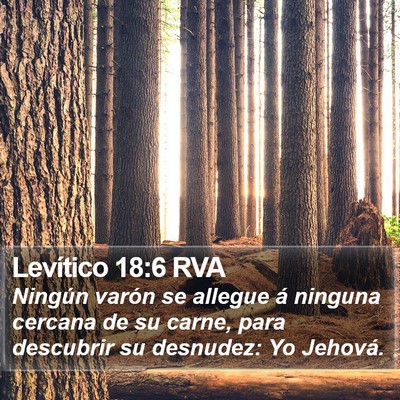 Levítico 18:6 RVA Bible Verse Image
