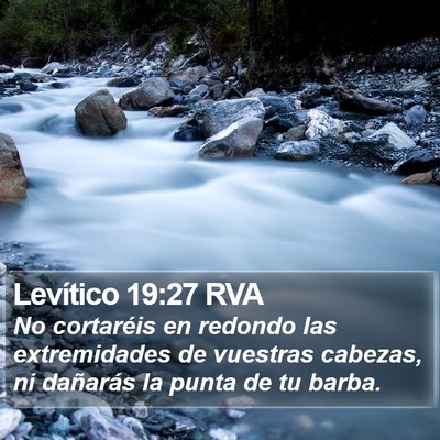 Levítico 19:27 RVA Bible Verse Image