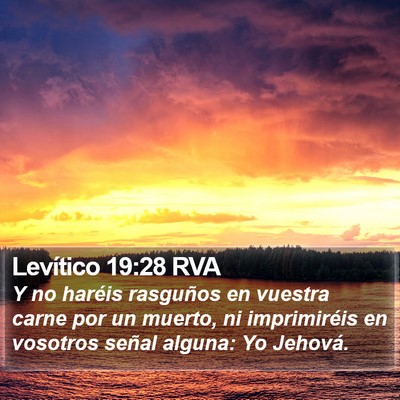Levítico 19:28 RVA Bible Verse Image