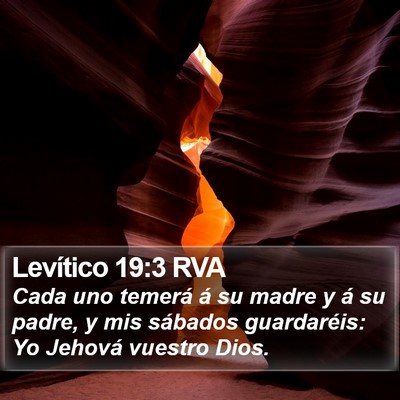 Levítico 19:3 RVA Bible Verse Image