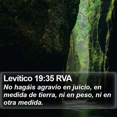 Levítico 19:35 RVA Bible Verse Image