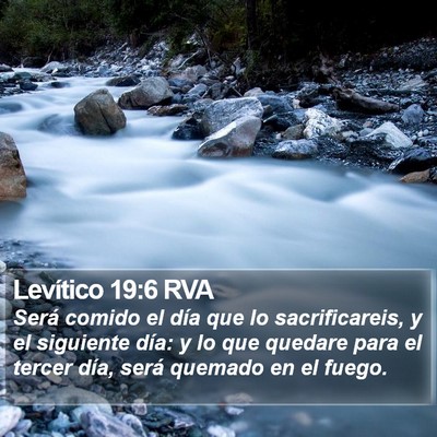 Levítico 19:6 RVA Bible Verse Image