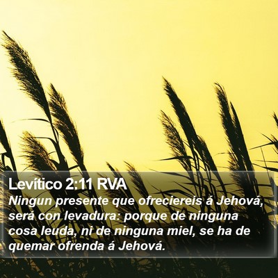 Levítico 2:11 RVA Bible Verse Image