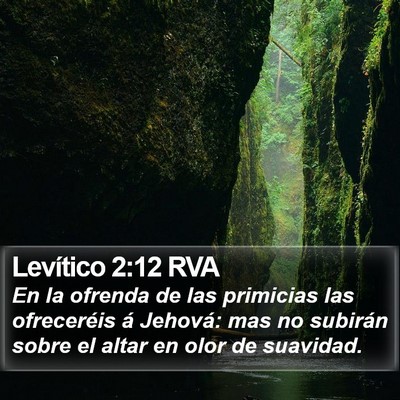 Levítico 2:12 RVA Bible Verse Image