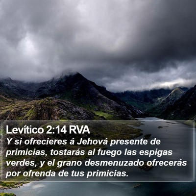 Levítico 2:14 RVA Bible Verse Image