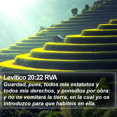 Levítico 20:22 RVA Bible Verse Image