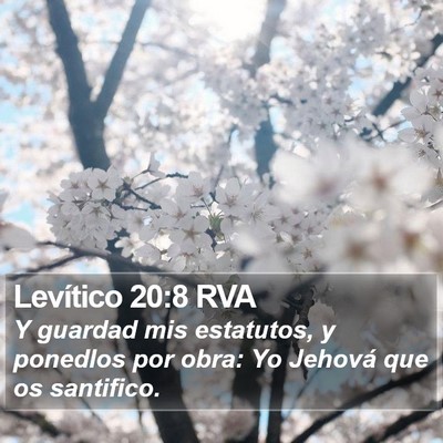 Levítico 20:8 RVA Bible Verse Image