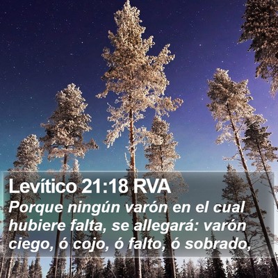 Levítico 21:18 RVA Bible Verse Image