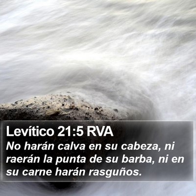 Levítico 21:5 RVA Bible Verse Image