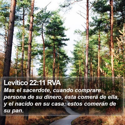 Levítico 22:11 RVA Bible Verse Image