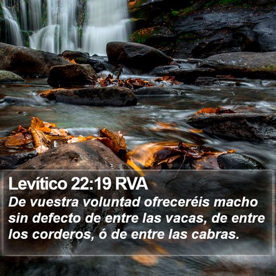 Levítico 22:19 RVA Bible Verse Image