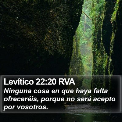 Levítico 22:20 RVA Bible Verse Image