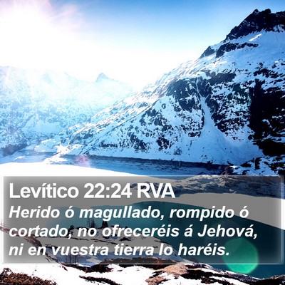 Levítico 22:24 RVA Bible Verse Image