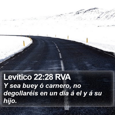 Levítico 22:28 RVA Bible Verse Image