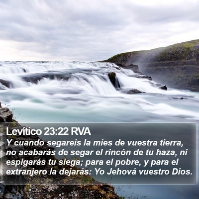 Levítico 23:22 RVA Bible Verse Image