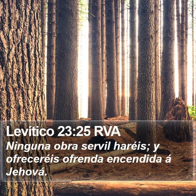 Levítico 23:25 RVA Bible Verse Image