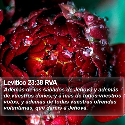 Levítico 23:38 RVA Bible Verse Image
