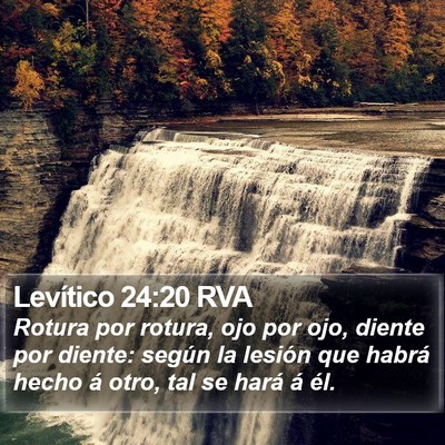 Levítico 24:20 RVA Bible Verse Image