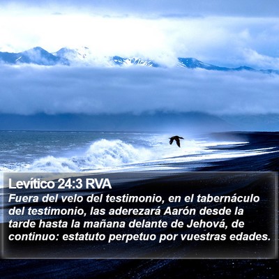 Levítico 24:3 RVA Bible Verse Image