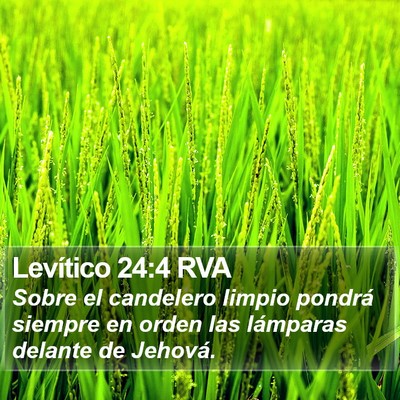 Levítico 24:4 RVA Bible Verse Image