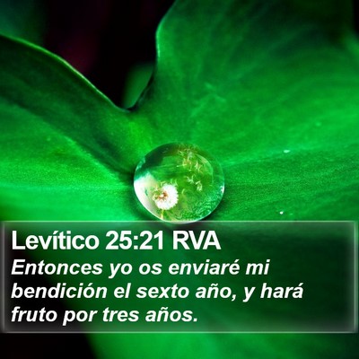 Levítico 25:21 RVA Bible Verse Image