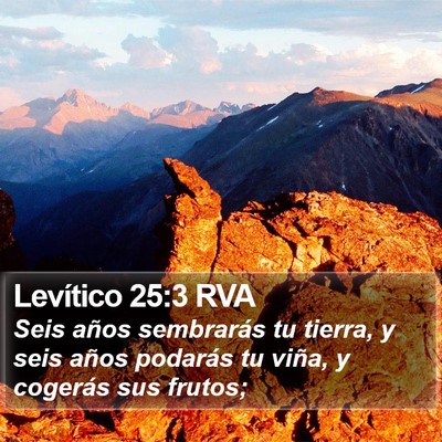 Levítico 25:3 RVA Bible Verse Image
