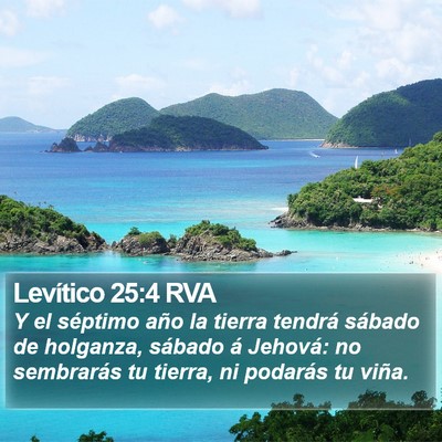 Levítico 25:4 RVA Bible Verse Image