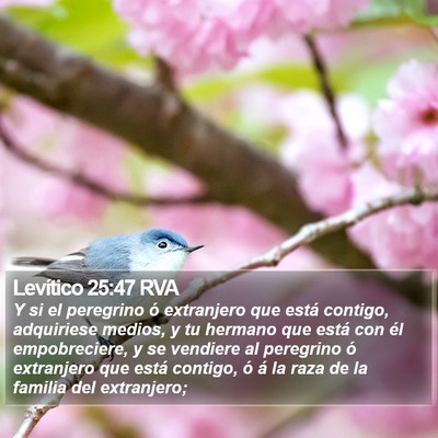 Levítico 25:47 RVA Bible Verse Image