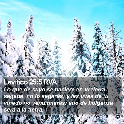 Levítico 25:5 RVA Bible Verse Image