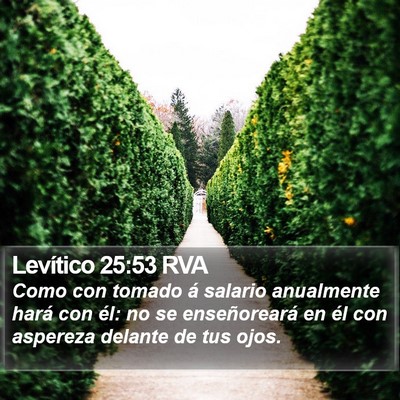 Levítico 25:53 RVA Bible Verse Image