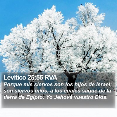 Levítico 25:55 RVA Bible Verse Image