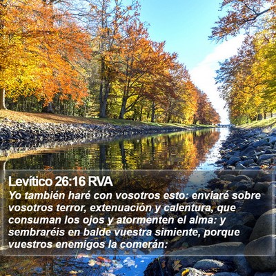 Levítico 26:16 RVA Bible Verse Image