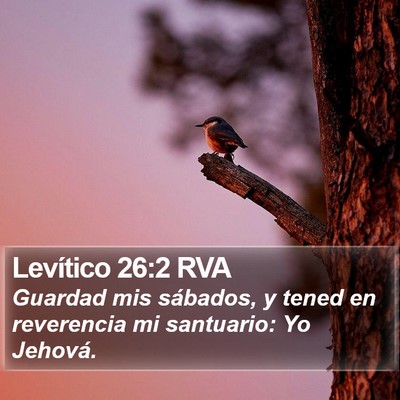 Levítico 26:2 RVA Bible Verse Image