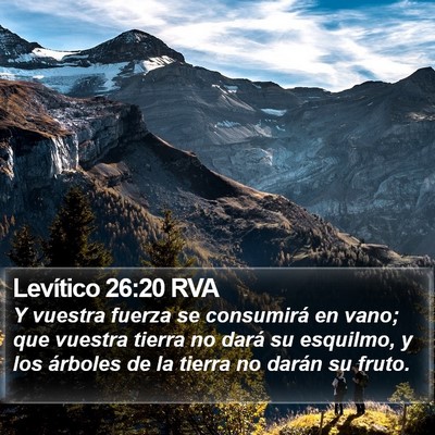 Levítico 26:20 RVA Bible Verse Image